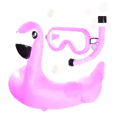 Flamingo Groove gift