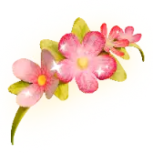 Flower Headband gift