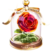 The Forever Rosa TikTok gift