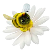 Flower Flight gift