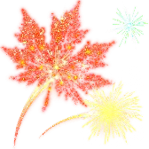 The Maple Fireworks TikTok gift