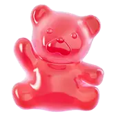 Hi Bear gift