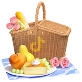 Picnic basket gift