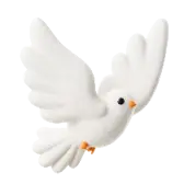 White Dove gift