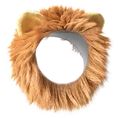 Lion’s Mane gift