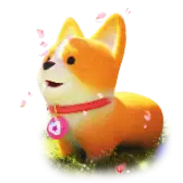 Sakura Corgi gift