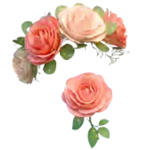 Rose Wreath gift
