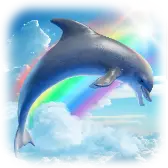 Dolphin gift