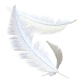 Feather Flock gift
