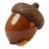 The Little Acorn TikTok gift