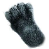 Panther Paws gift