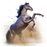 Go Big Stallion gift