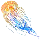 Glowing Jellyfish gift