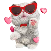 Kitten Kneading gift