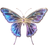 Let butterfly dances gift