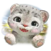 Lili the Leopard gift