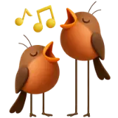 Melodic birds gift