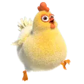 Naughty Chicken gift
