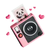 Panda Snap gift