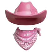 Pink Cowboy gift