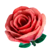 The Rosa TikTok gift