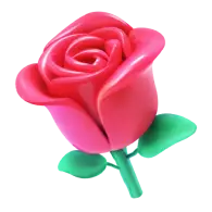 Rose gift