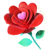 Roses gift