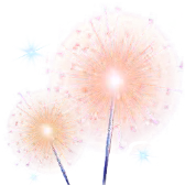Sparklers gift