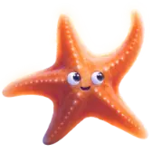 Starfish gift