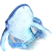 Whale Diving gift