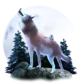 Wolf gift